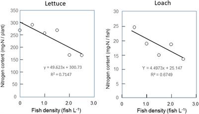 Effect of fish density on biological production in aquaponics combining lettuce hydroponics and loach aquaculture for controlled ecological life support systems in space